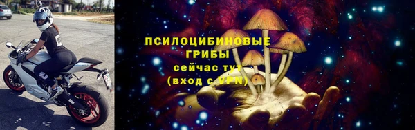 прущая мука Алзамай