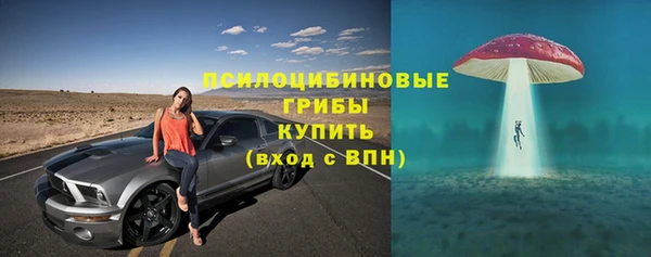 спиды Абаза